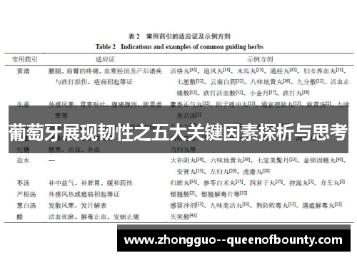 葡萄牙展现韧性之五大关键因素探析与思考